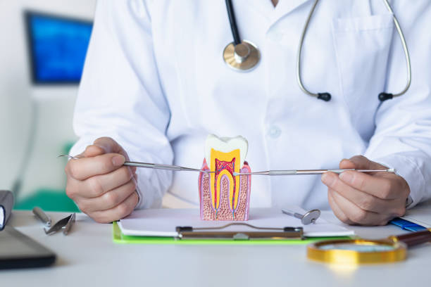 Best Emergency Wisdom Teeth Removal in Algonac, MI